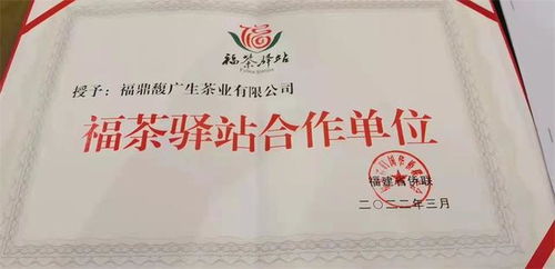福茶驛站攜手合作企業(yè)，借僑優(yōu)勢揚(yáng)帆出海，共謀茶業(yè)新篇章